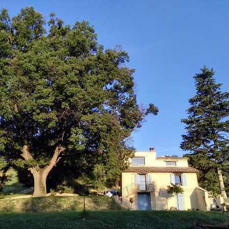 Maison D'Hotes Du Grand Chene Valensole Eksteriør bilde