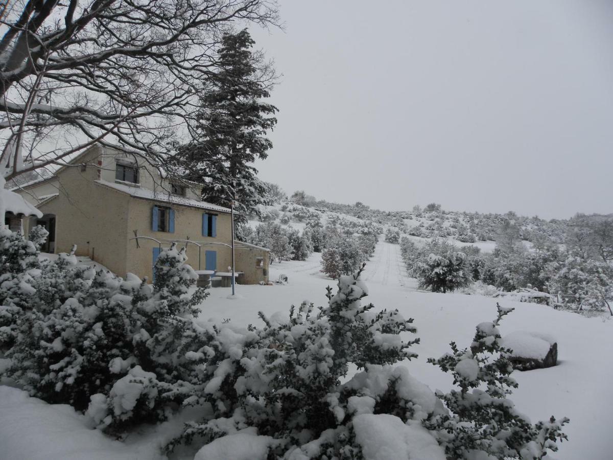 Maison D'Hotes Du Grand Chene Valensole Eksteriør bilde